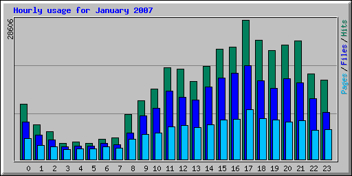 Hourly usage for January 2007