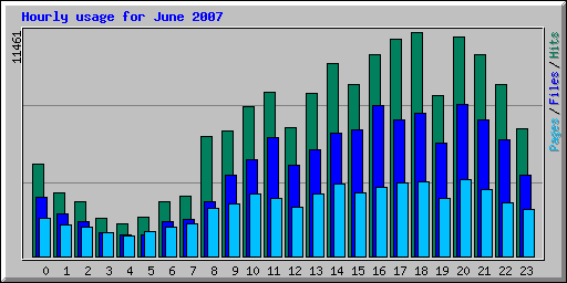 Hourly usage for June 2007